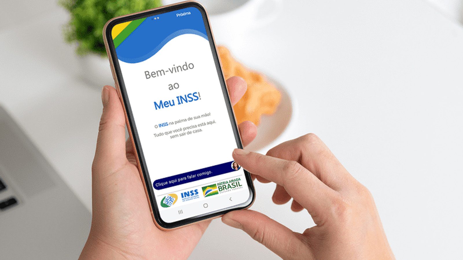 Meu INSS platform